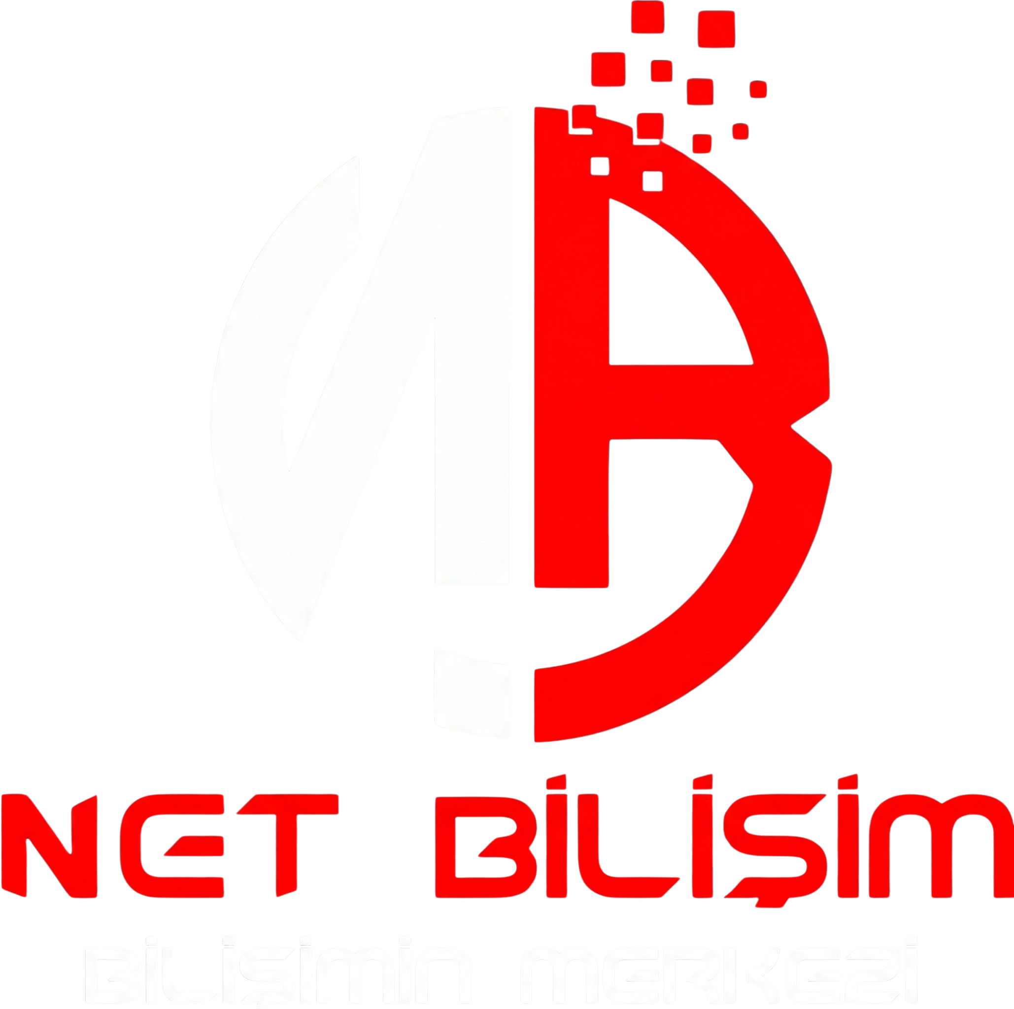 Net Bilişim Logo